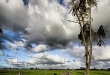 欧冠-莱万梅开二度奥尔莫破门 巴萨3-0布雷斯特.