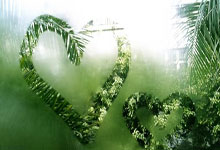 开云官网：国足伤停危机加剧 国足力争避免“惨案”重演.