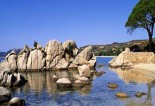 [棋牌]高清-农心杯第14局决胜局 丁浩对决申真谞.